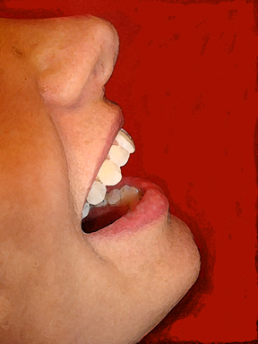 Voice Workshop